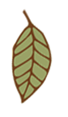 Green Leaf